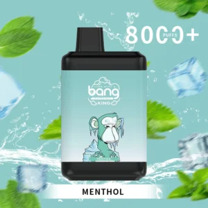 Bang King 8000 Puffs 0% 2% 3% 5% Vape de unică folosință cu nicotină Comerț cu ridicata - SYNCVAPE - 18