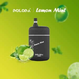 DOLODA Pebble 6500 Puffs 0% 2% 5% Nicotine Rechargeable Disposable Vape Wholesale - SYNCVAPE - 18