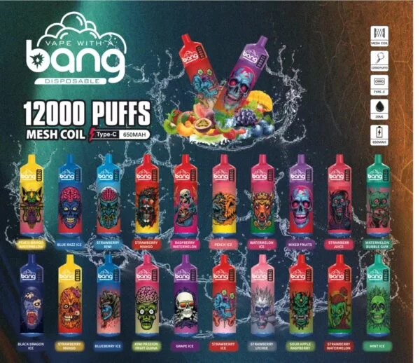 Bang Box 12000 Puffs 0% 2% 3% 5% Nicotină reîncărcabilă de unică folosință Vape cu ridicata - SYNCVAPE - 1