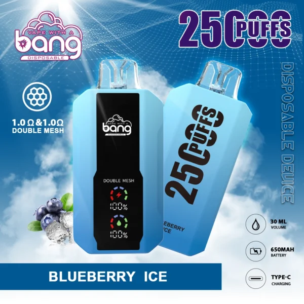 Bang 25000 Puffs 0% 2% 3% 5% Matala nikotiini Ladattava kertakäyttöinen Vapes Pen Bulk Tukkumyynti - SYNCVAPE - 1