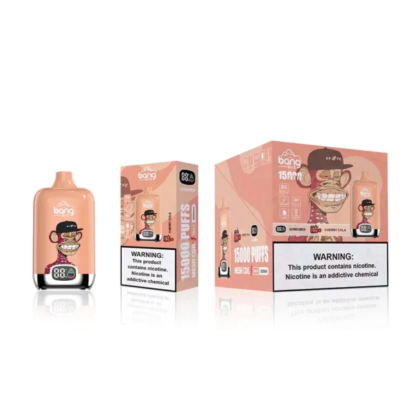 Bang Box 15000 Puffs 0% 2% 3% 5% Faible teneur en nicotine rechargeable en vrac Acheter un stylo vape jetable en gros - SYNCVAPE - 5