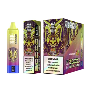 Bang Box 20000 Puffs 0% 2% 3% 5% Nikotinarm, wiederaufladbar, Großpackung, Einweg-Vape-Pen im Großhandel kaufen – SYNCVAPE – 25